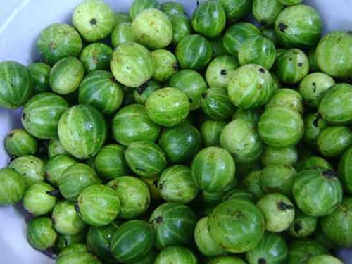 Bitter tomato with Cassava leaves; a Pleiku specialty