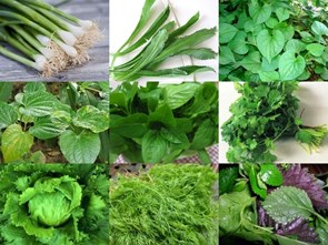 How do the spices of Vietnam differ from other countries? 