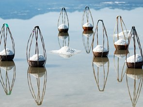 The nature of Vietnamese salt?