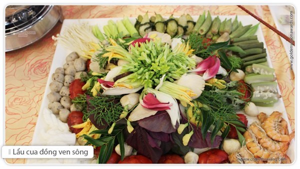 Using mushrooms to resolve mold/ fungal infections