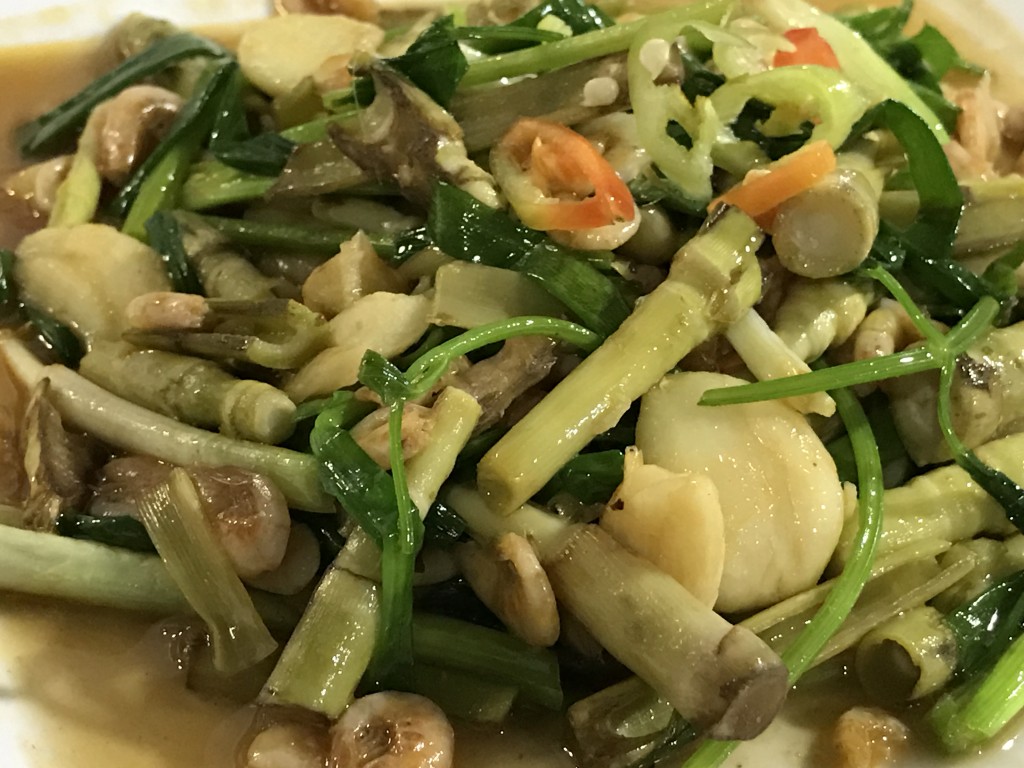 Tips of reeds are deserved to be honored