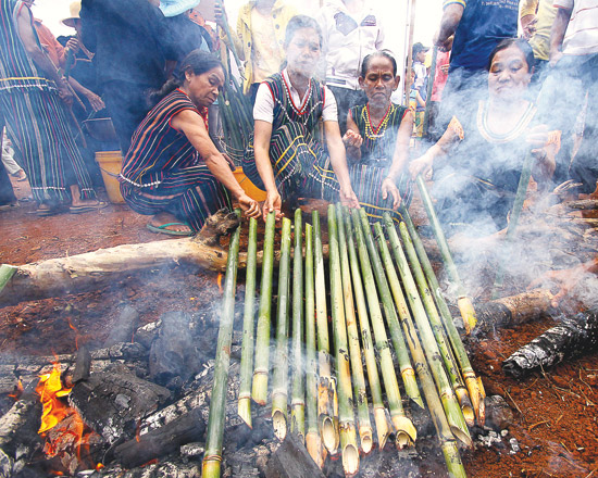 Tubes of plenty: The Muong bamboo tube rice