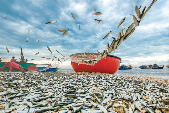 The sweet smell of nostalgia