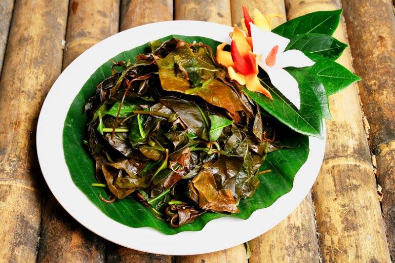 The Amazing Natural Sweetener From The Forests