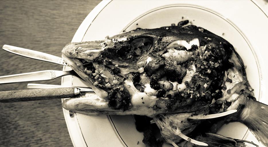 The Catastrophic Meal: Is This the Future Food?