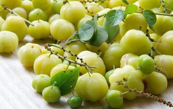 Home Taste from Star-Berries 