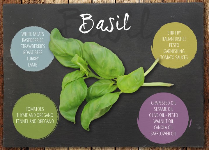 10 Cooking Herbs and How to Use Them