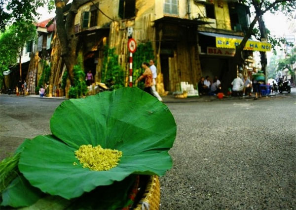 The Taste of Hanoi’s Autumn