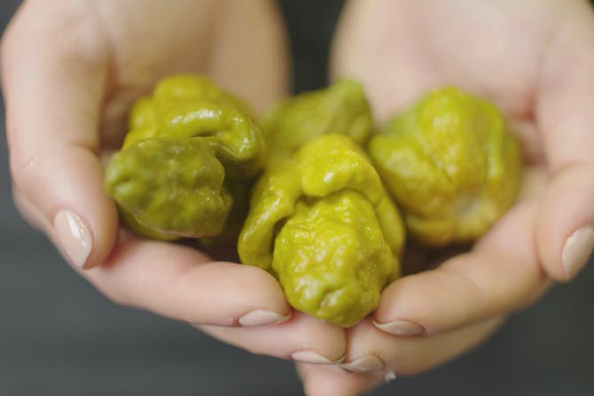 'Pepper X' Is The New World’s Hottest Pepper