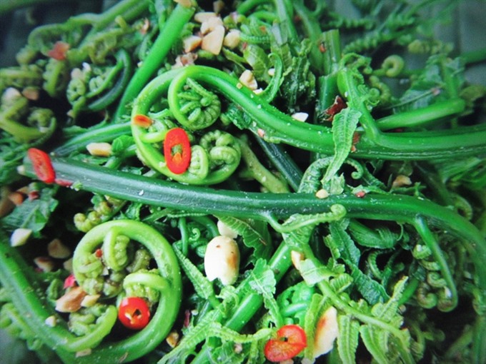 Dishing Out “Buffalo Meat Hung Up in Kitchen”