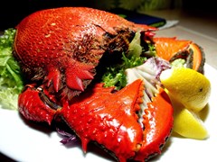 Ly Son Island Is in Company