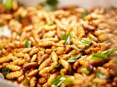 Let’s Try Some Specialties of Yên Bái