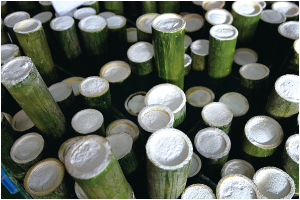The Healing Properties of South Korea’s Bamboo Salt