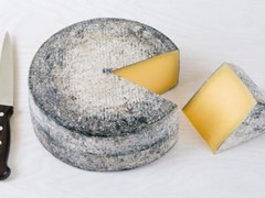 The ‘World’s Best’ Cheese Is British