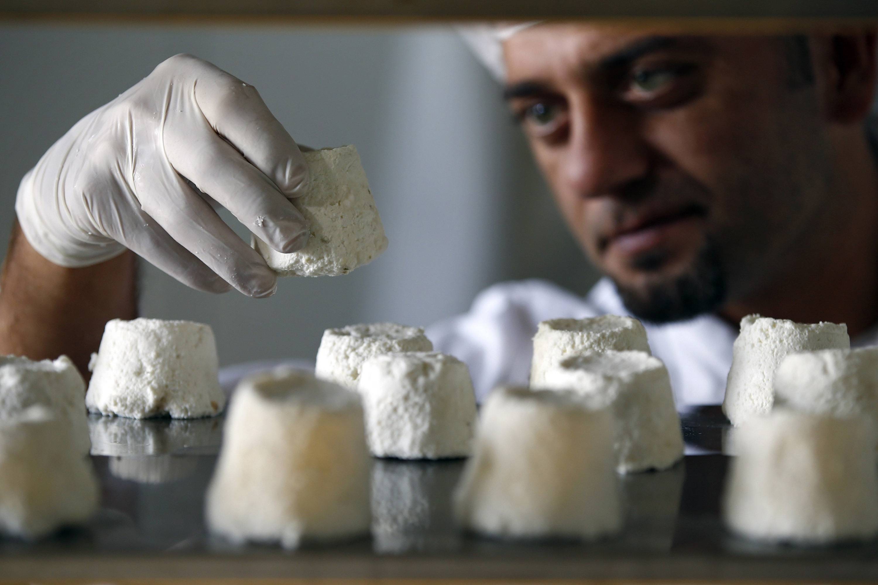 The World's Most Expensive Cheese Is Made from... Donkey Milk?