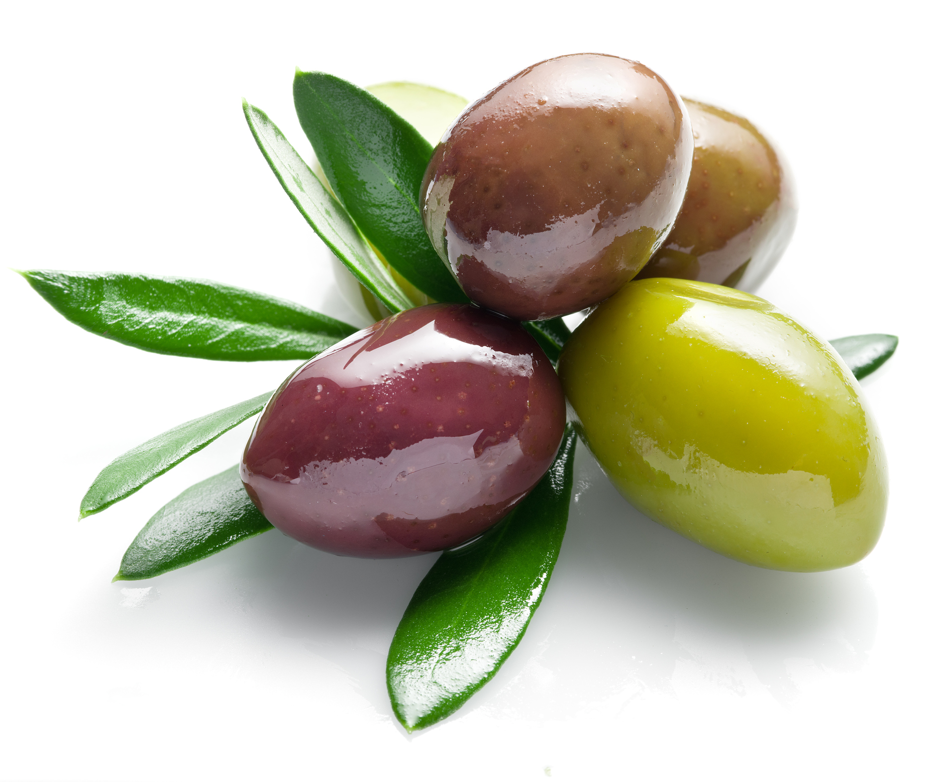 Greek Olives: A Guide to 5 Table Olives