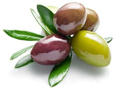 Greek Olives: A Guide to 5 Table Olives