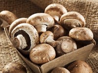 15 Different Mushrooms and How to Cook Them